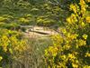 Eco Lodge/tiny House Ferrairolles/rolinka