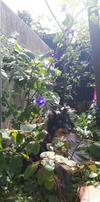 Chambre Priv�e Proche De La Cit�