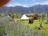 Agroturismo Granny's Farm