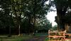 Bed & Breakfast Souslens