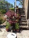 Les G�tes P�rard
