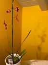 Apartamento La Casa Di Andrea