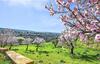 Villa Ceretanum Holiday House