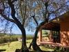 Toscana Tour - Cottage Gaia With Sea View