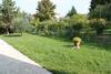 Apartment In Lazise/gardasee 21949