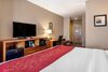 Hotel Comfort Suites Florence