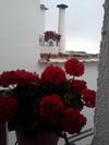 Apartamentos Casalpujarra