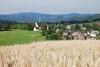Apartamento Ferienoase Hinterhermsdorf