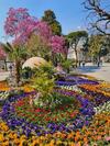 Apartamento Meranosuites - Garden