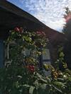 Alte Kate Mit Bau-& Zirkuswagen Im Gartenidyll