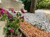 Bed & Breakfast Music House Palinuro