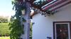 Apartamento Ferienwohnung Schwarzwaldgl�ck