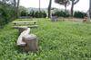 Agroturismo Ceppeto 1