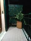 Apartamento Appartamento Della Dama