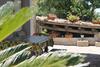 Holiday Villa Gelso - Ragusa