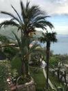 Apartamento Suite I Limoni