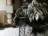Apartamento House Rose
