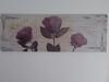 Apartamento House Rose