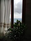 Villa Indipendente Con Discesa Al Mare Privata