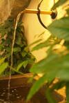 Hostal Klosterst�ble