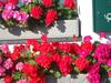 Hostal G�stehaus Maria