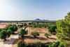 Apartamento Finca Rural Son Amer