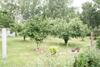 Apartamento Reetdachidylle Mit Terrasse & Balkon - Abc194