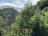 Hotel And Restaurant Bergschl�sschen