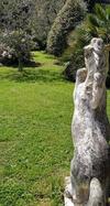 Bed & Breakfast Fili D'erba