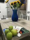 Apartamento Casa �bola