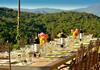 Villa Guardistallo By Mc Luxury Rentals