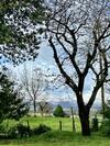 Bed & Breakfast Maison Amoraina
