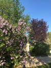 Hostal Le Baptist�re - Adults Only