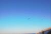Apartamento Vista Faro, Zona Faunistica E Mare