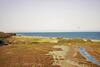 Apartamento Vista Faro, Zona Faunistica E Mare