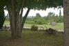 Bed & Breakfast Les Loups Dans La Bergerie