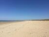 Chez P�p�