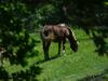 Hostal La Tiny Des 3 Pics