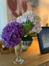 Apartamento La Belle Vie