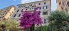 Apartamento Palazzo Degli Armatori Appartamento Storico