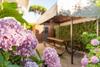Apartment Holiday Versilia