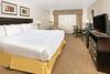 Hotel Holiday Inn Express & Suites Roswell