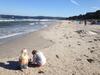 Hostal G�stehaus Astrids Strandmuschel