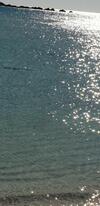 Sea Of Love