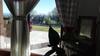 Agroturismo B&B Casalfarano
