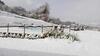 Agroturismo B&B Casalfarano