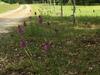 G�te Azerat, 4 Pi�ces, 6 Personnes - Fr-1-616-138