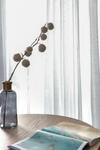 The Euphoria Club Luxury Villas