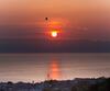 The Free Bird - Private Pool & Spa Villa