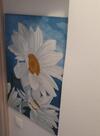 Spacious House 100 Metres From The Beach